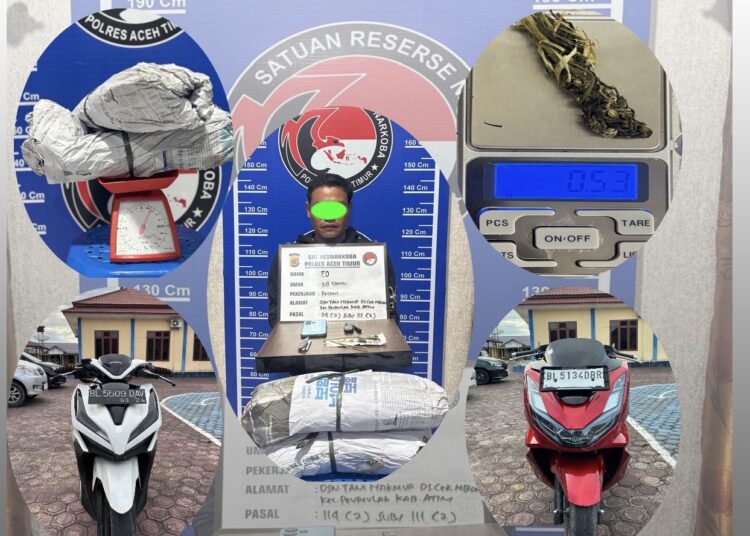 Polres Aceh Timur Ungkap 9 Kasus dan Amankan 12 Pelaku dalam 2 Pekan Terkahir