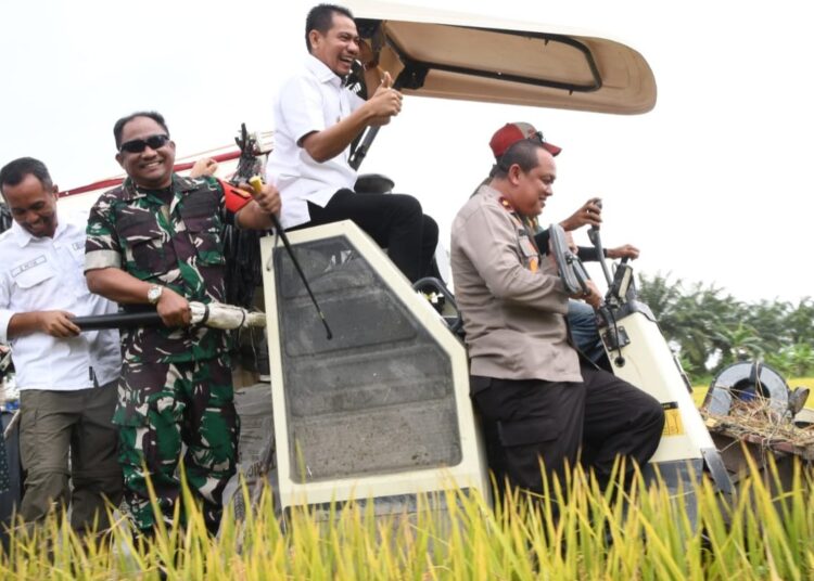 Pemkab Aceh Timur Gelar Panen Raya Padi, Dukung Swasembada Pangan Nasional